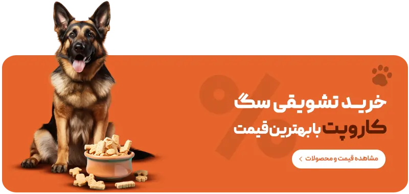 خرید تشویقی سگ