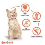 آبنبات تشویقی گربه لالی پاپ رانوا 5 طعم
