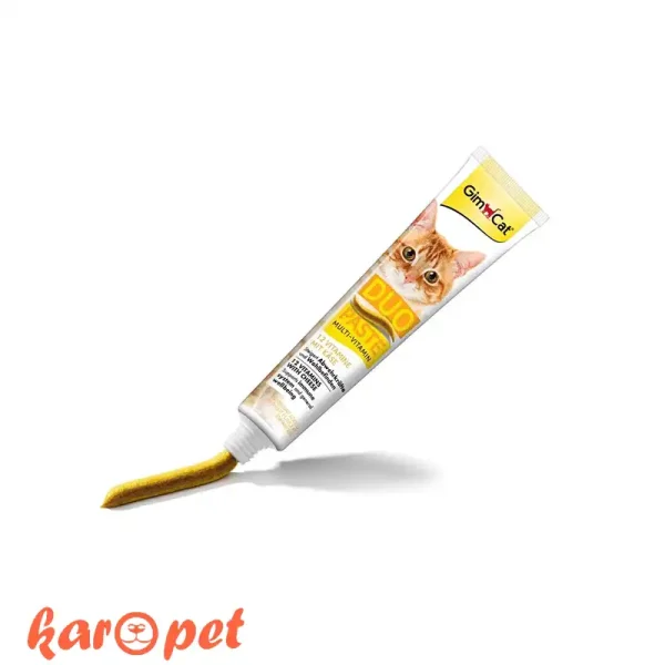 خمیر مولتی ویتامین گربه جیم کت Gimcat با طعم پنیر وزن 50 گرم